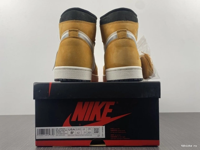 Rep TB DB2889-700 Element High 1 Gore-Tex Jordan Curry Light 0708